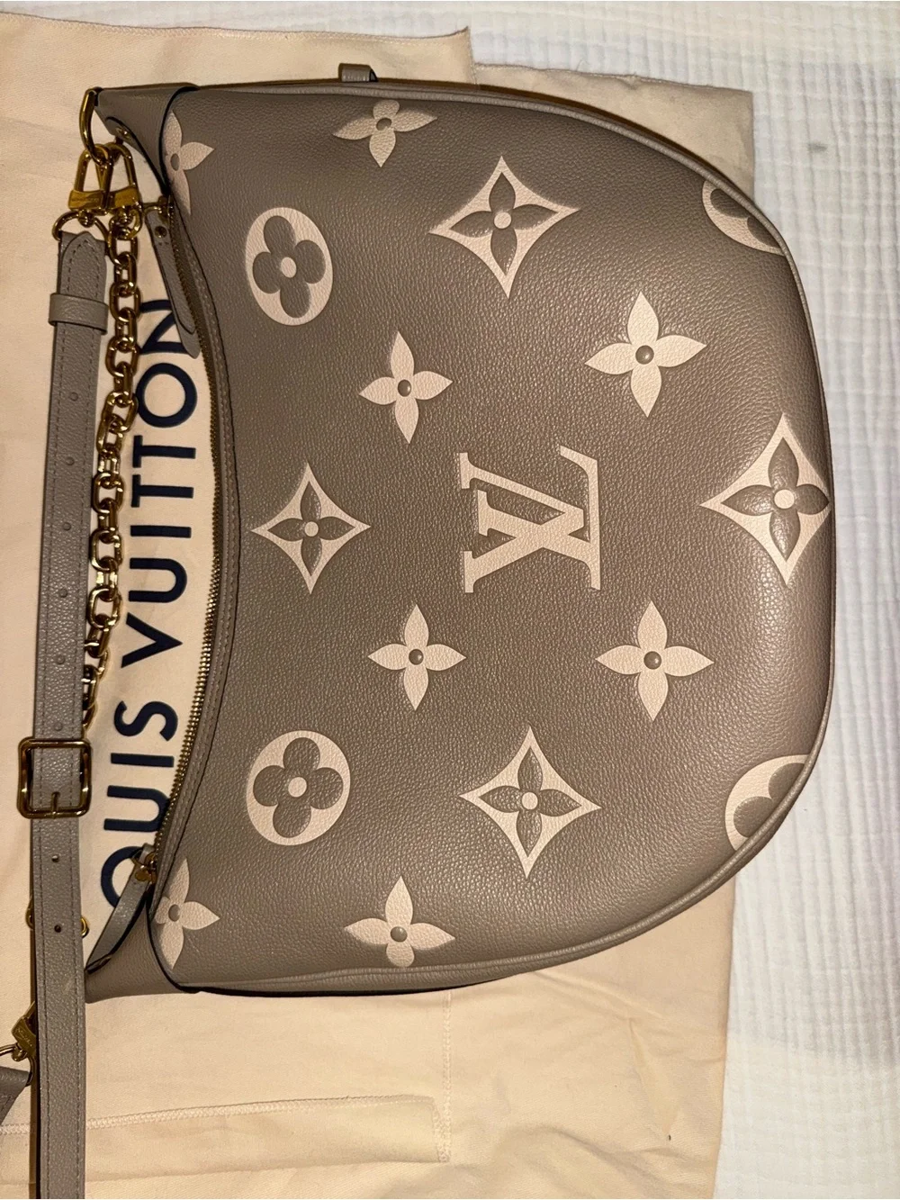 Louis Vuitton Hobo Loop Gray Bag